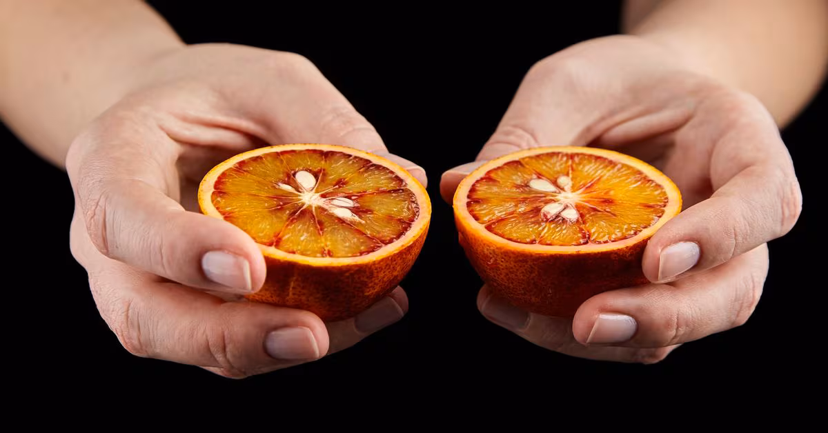 Featured image for "Anticipating Bitcoin's Halving: Impacts and Opportunities Ahead"