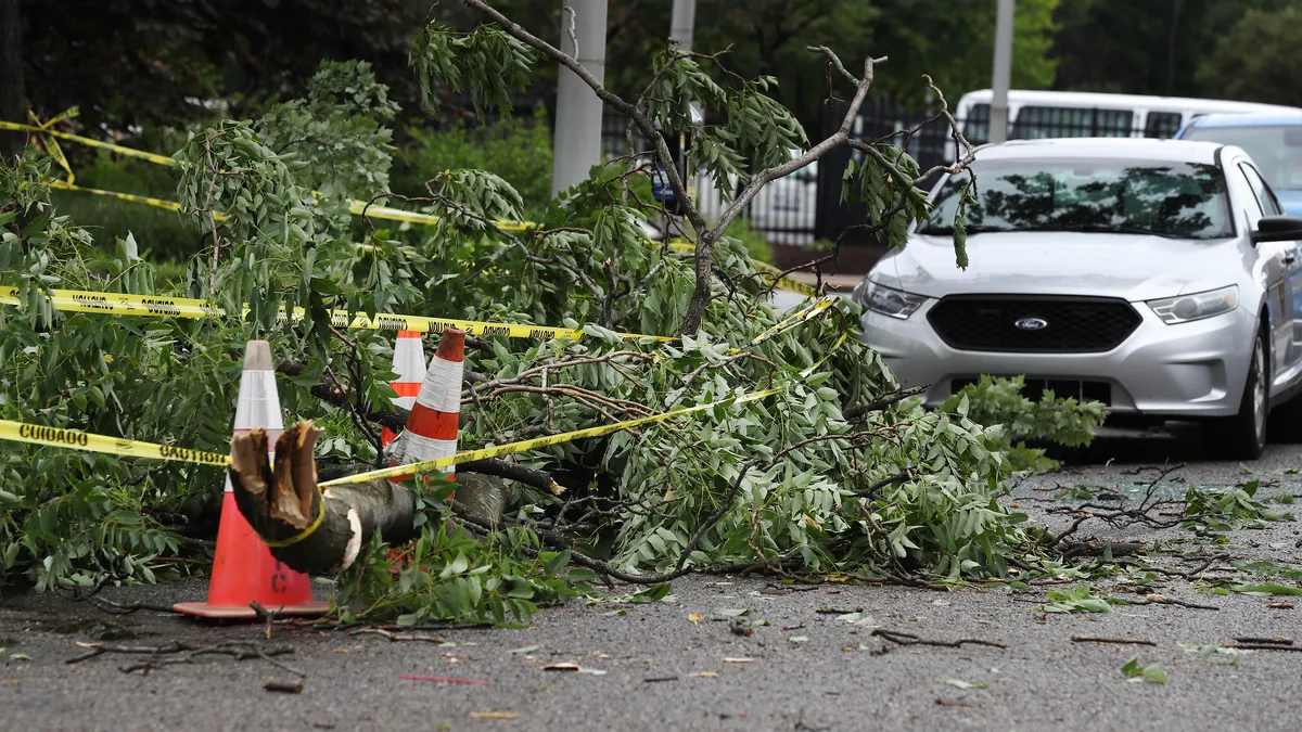 "Kentucky Tornadoes Leave 5 Dead, Widespread Damage and Power Outages"