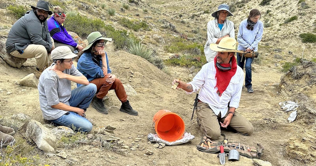 Featured image for Unearthing Ancient Treasures: Fossil Hunting in Wyoming's Triceratops Gulch