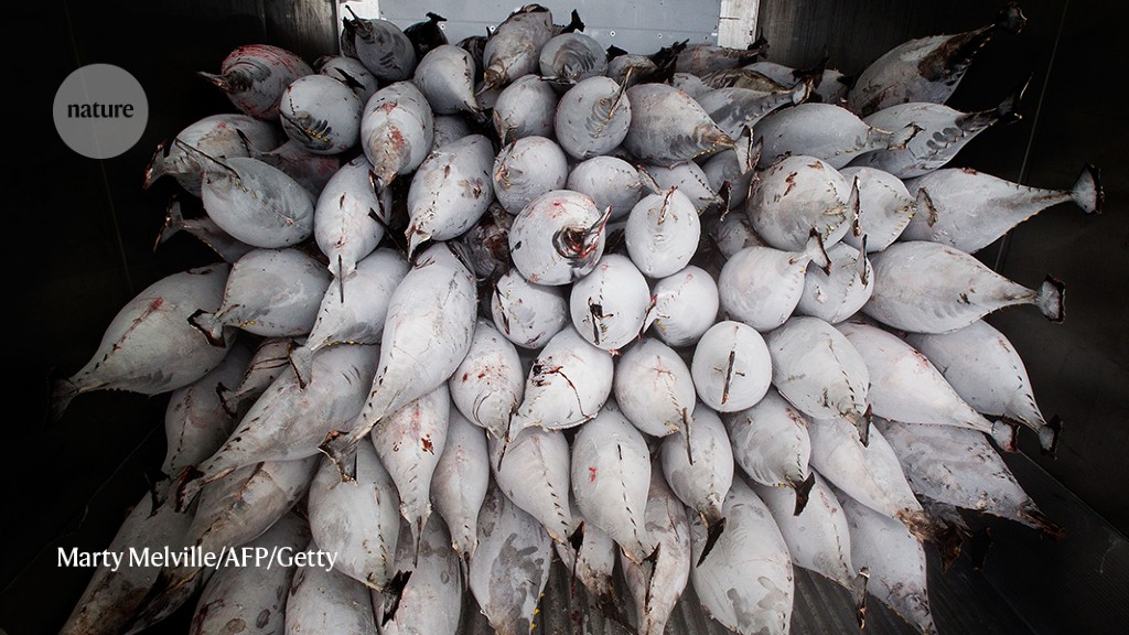 Featured image for The Hypocrisy of Neglecting Oceans in the Climate Fight