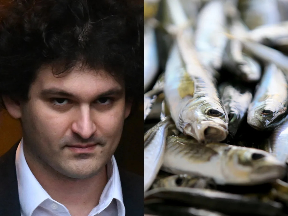 From Crypto to Carp: Disgraced FTX Founder Trades Fish for Prison Services
