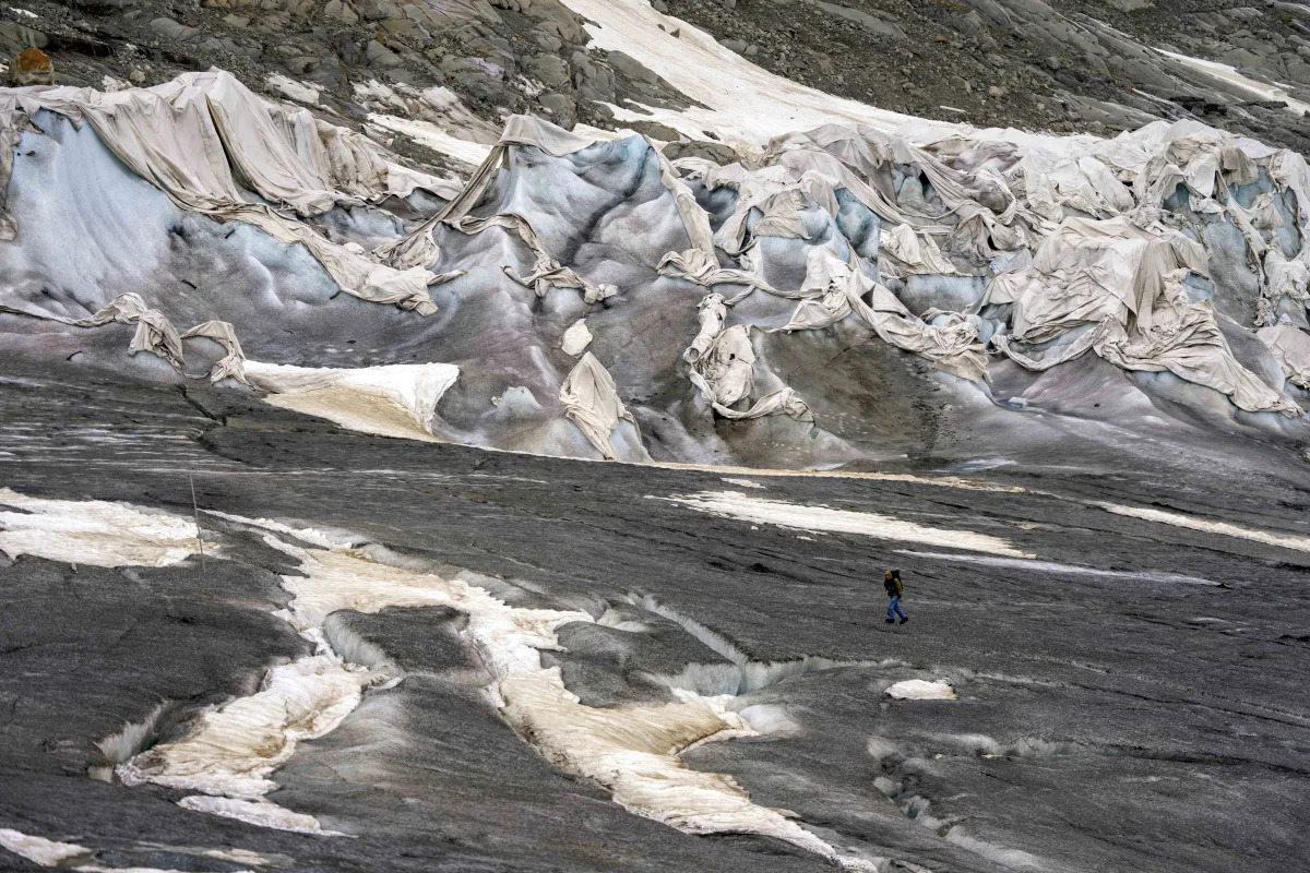 "Preserving Emerging Ecosystems Amid Melting Glaciers: New Study Urges Protection"