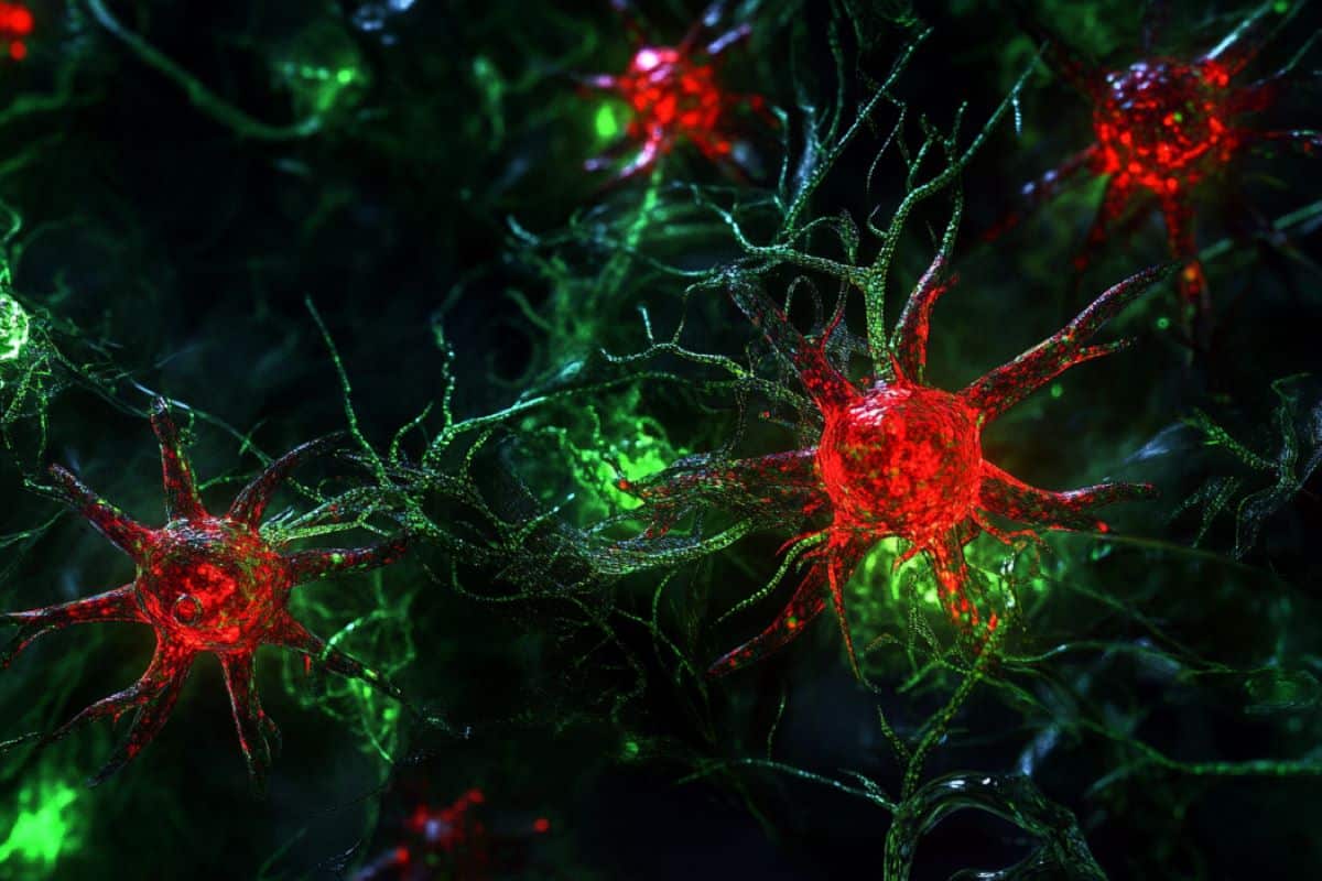 Featured image for Reprogrammed Astrocytes Show Promise in Treating Neurodegenerative Diseases