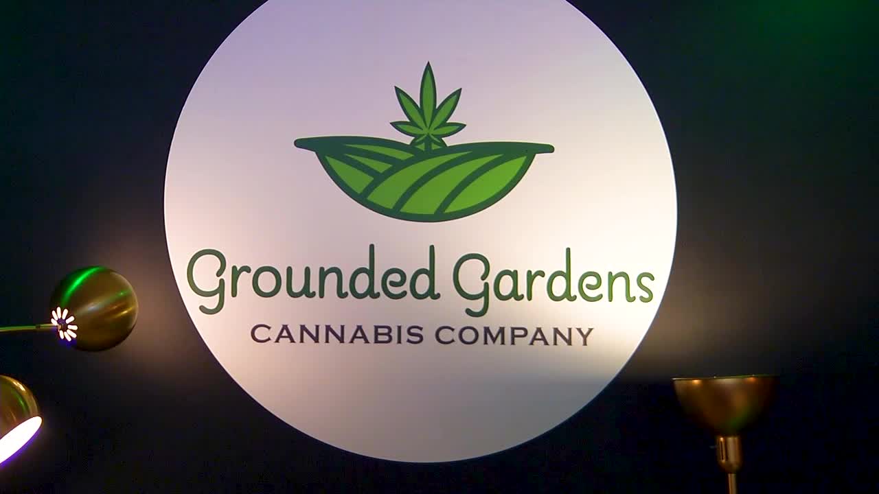 Navigating the Excitement and Confusion of Legal Marijuana and Homegrown Cannabis in Minnesota