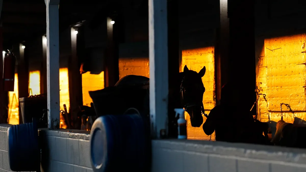 Calls for Change in Horse Racing After Multiple Deaths at Churchill Downs.