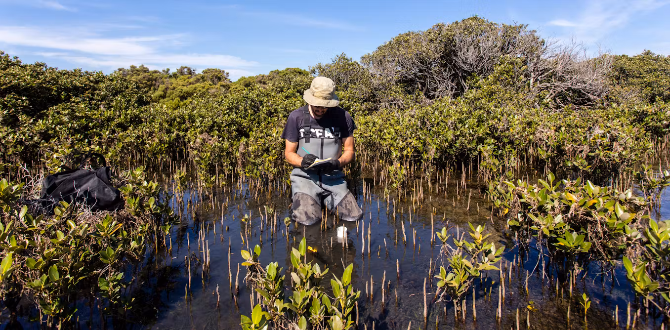 "Methane Surge: Earth's Climate Nearing Critical Transition Point"
