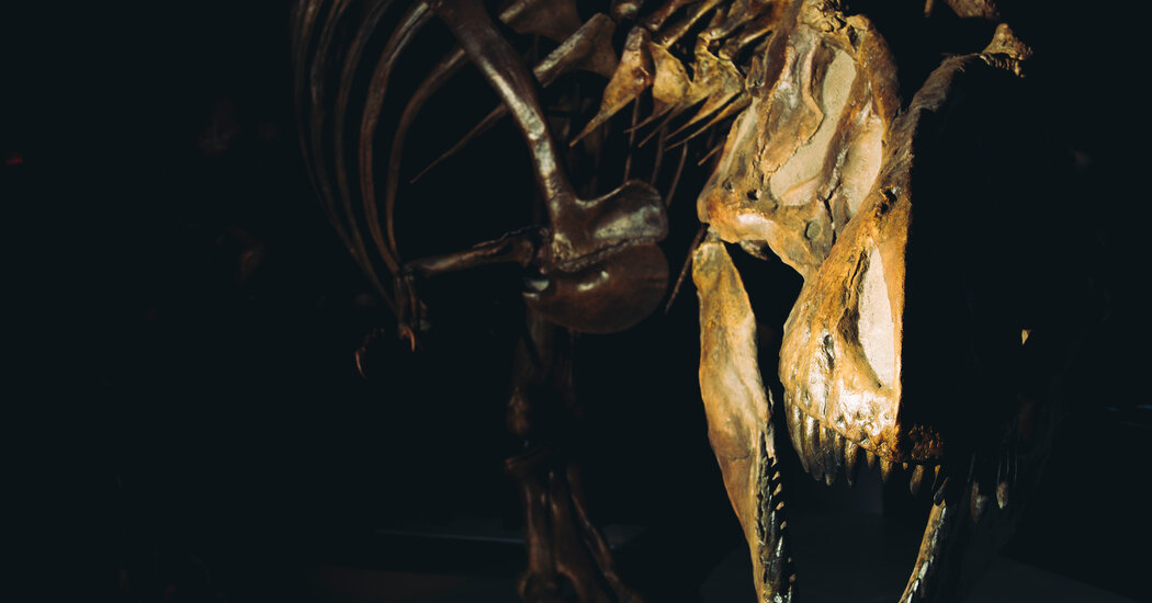 Featured image for Unveiling the T. Rex's Bone-Crushing Bite