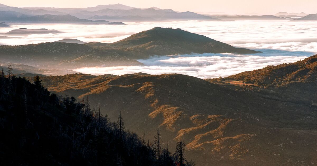 4.2 Magnitude Earthquake Rocks Palomar Mountain and Surrounding Areas.