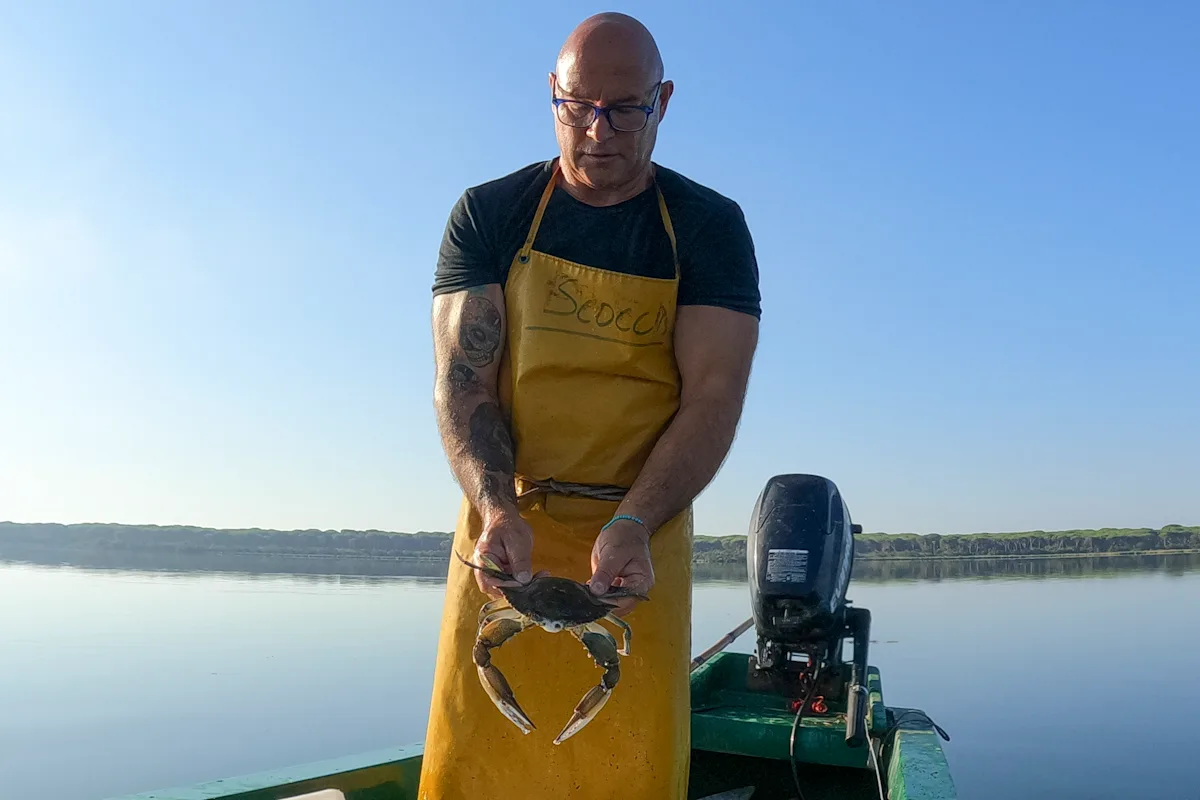 Featured image for Invasion of Blue Crabs: Italians Turn to Culinary Solution