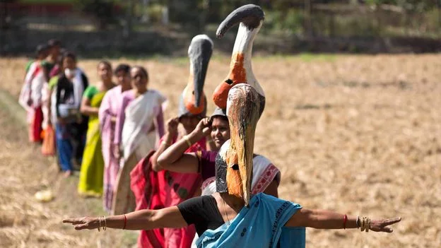 Women-led army revives India's bone-swallower stork