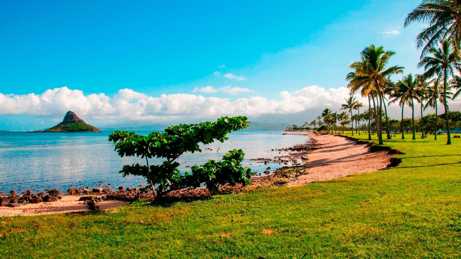 Featured image for "Officials Investigate Possible Shark Bite on 11-Year-Old off Honolulu"