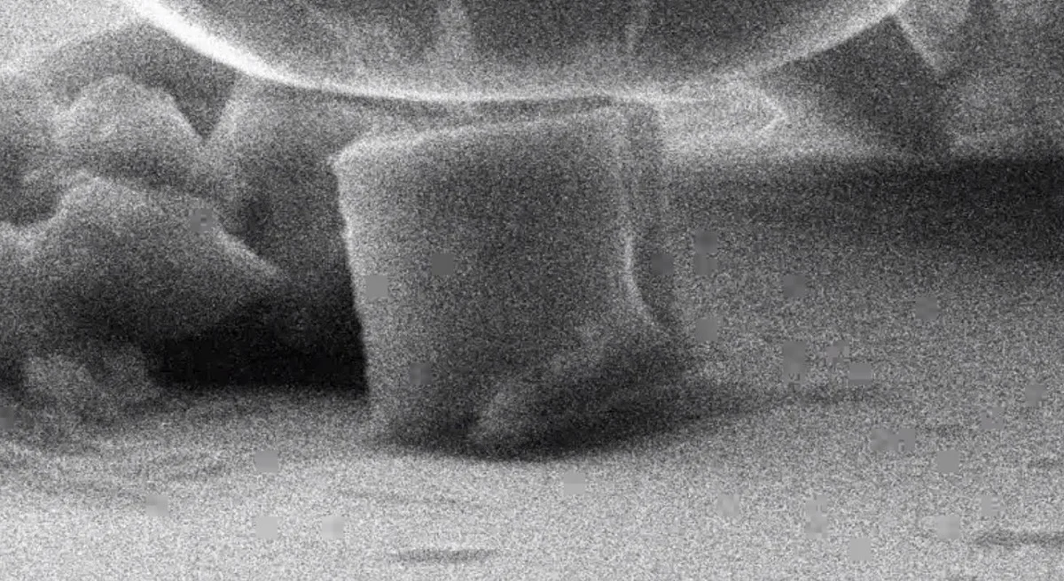 DNA-Based Material: Lighter and Stronger Than Steel