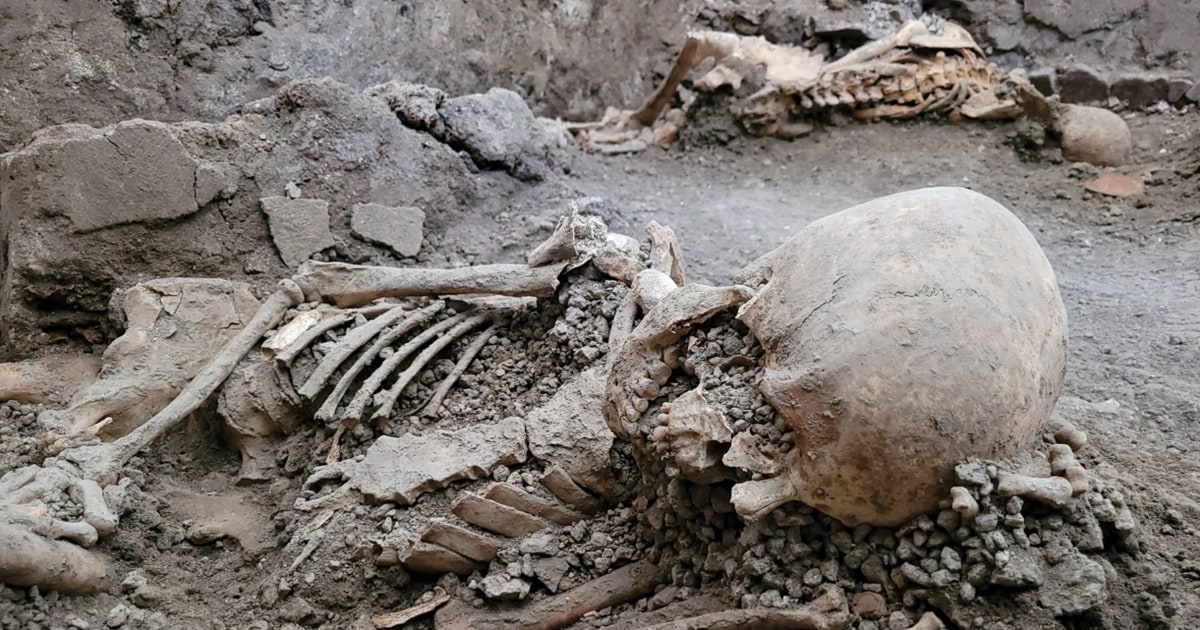 Featured image for New Pompeii earthquake victims discovered during excavations.