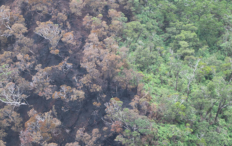Featured image for "DLNR Explores Impacts of Mililani Mauka Wildfire on Forest Watersheds and Communities"