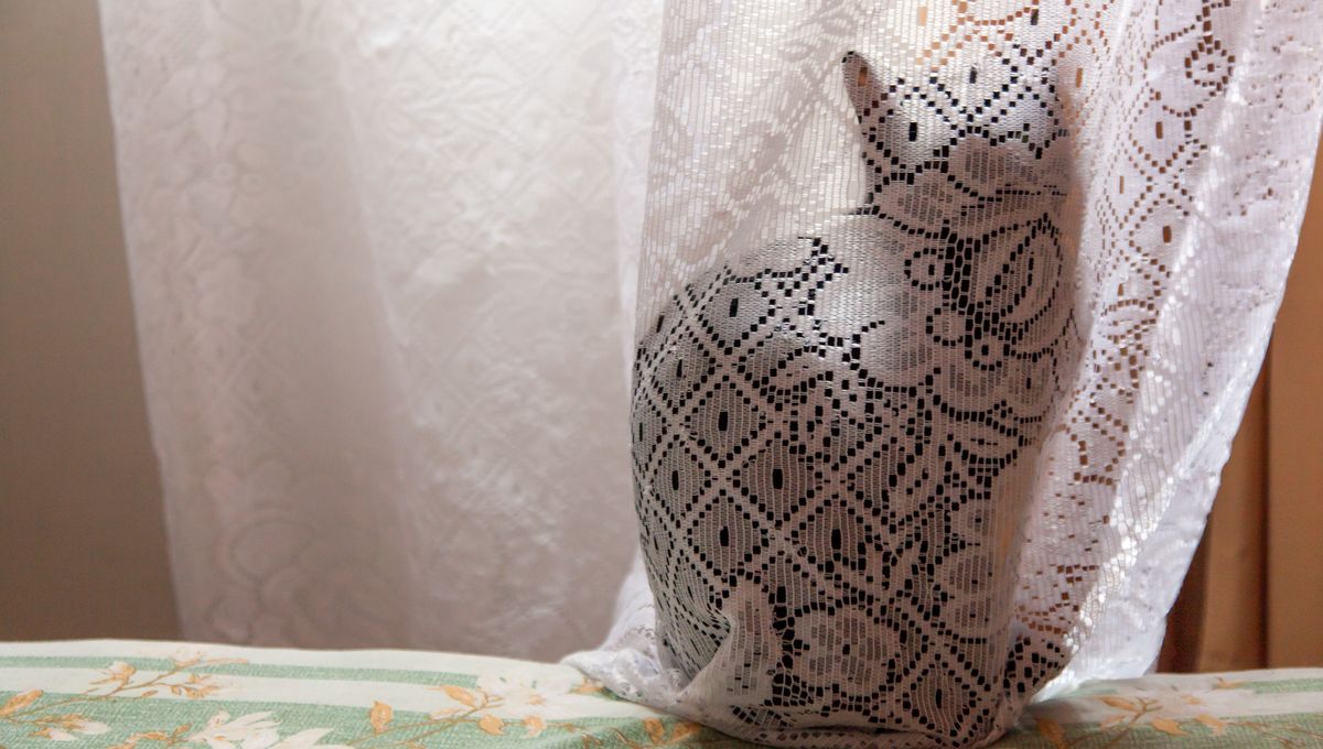 Featured image for Quantum 