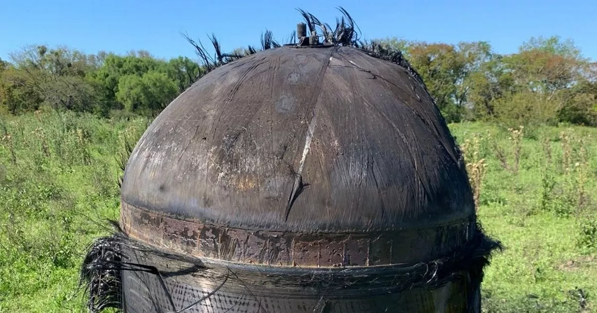 Featured image for Mysterious 'Hairy' Object Crashes onto Farm, Baffling Authorities