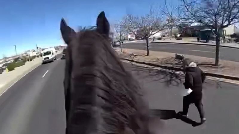 "Police on Horseback Capture Shoplifter in New Mexico Chase"