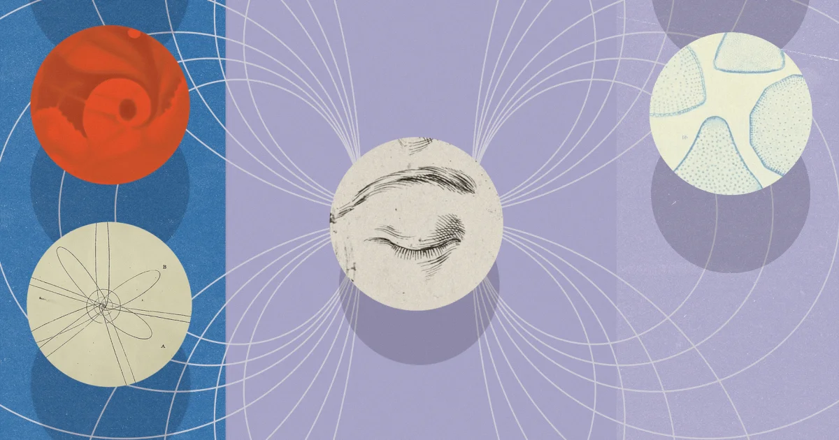 Exploring Consciousness: 6 Questions with Annaka Harris