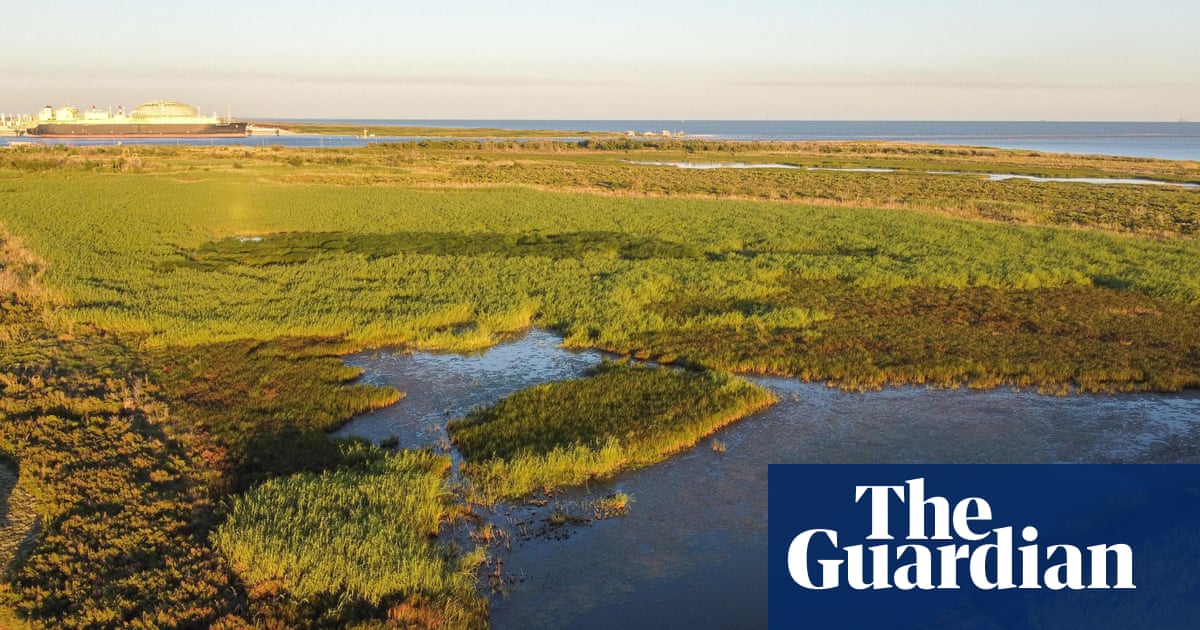 "Biden Administration Delays Approval of Controversial LNG Export Terminal"