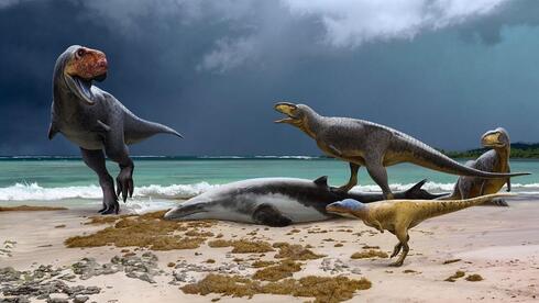 Unearthed: Unknown T-Rex Relatives Discovered in Morocco