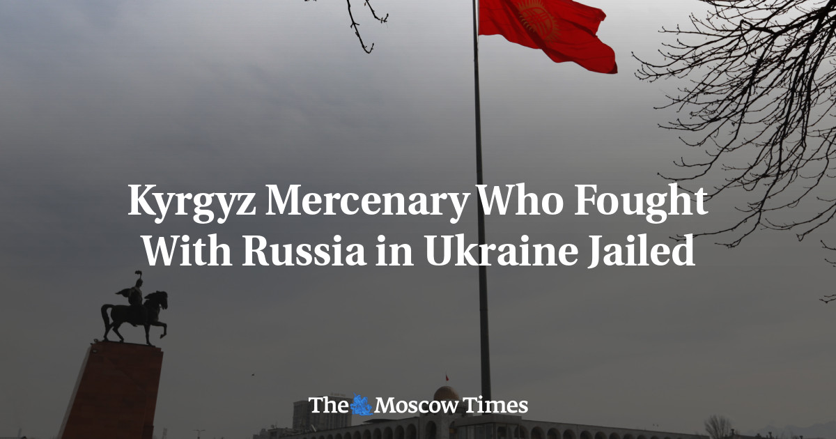 Kyrgyz Mercenary Jailed for Fighting with Russia in Ukraine