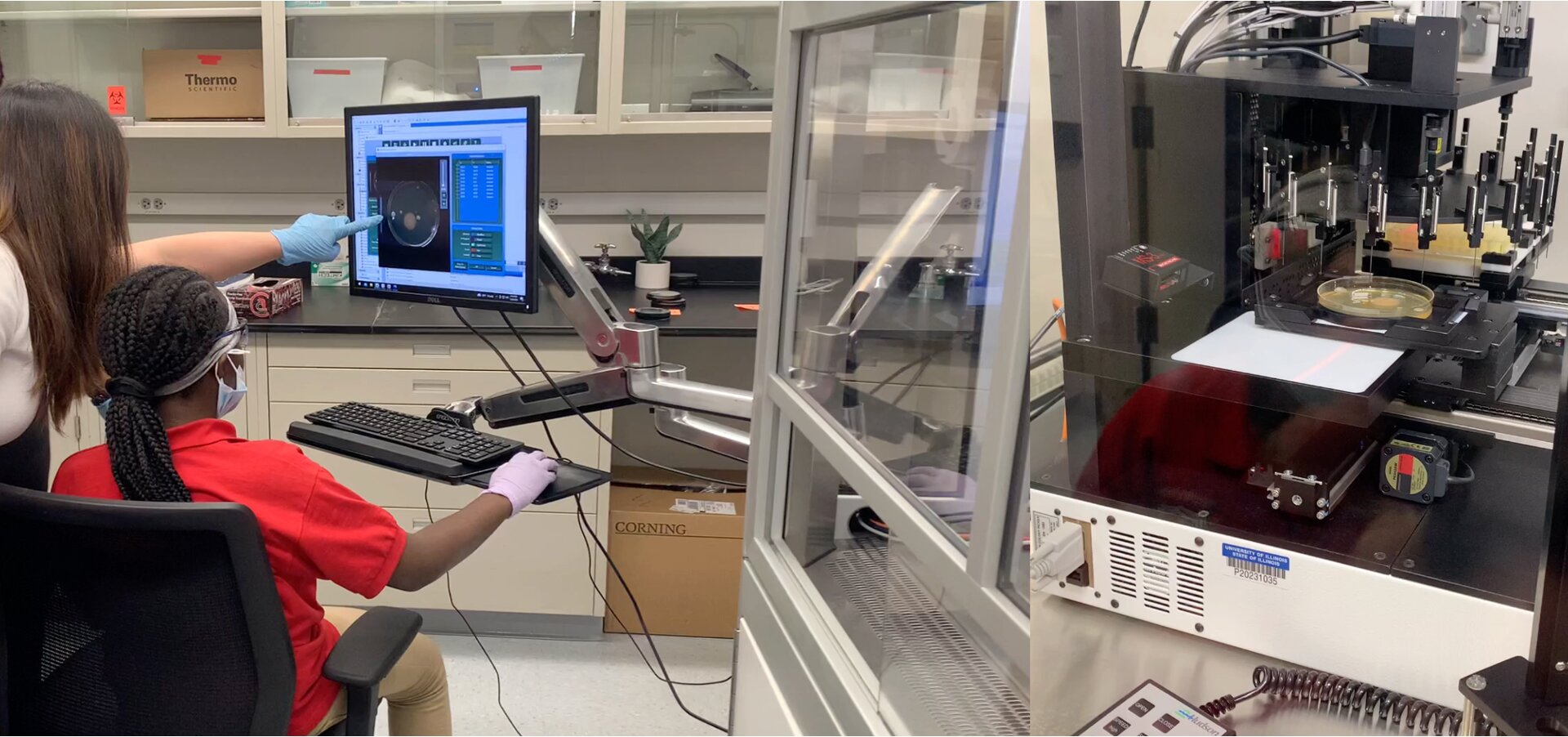 Featured image for Middle Schooler Discovers New Compound in Goose Droppings