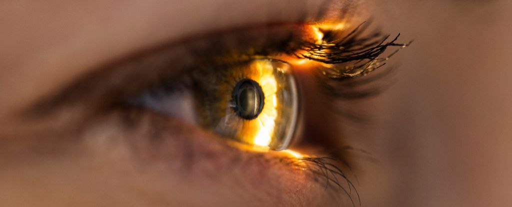 Featured image for "The Surprising Benefits of Blinking for Vision Enhancement"