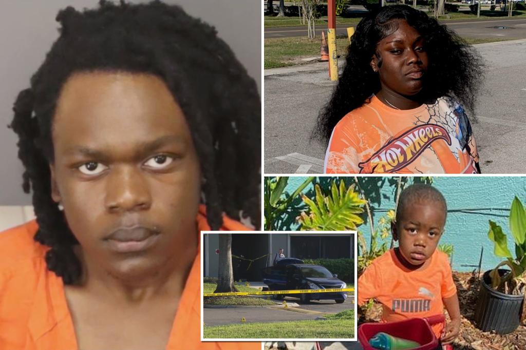 Man charged in gator death also stabbed child's mom over 100 times, new details emerge.