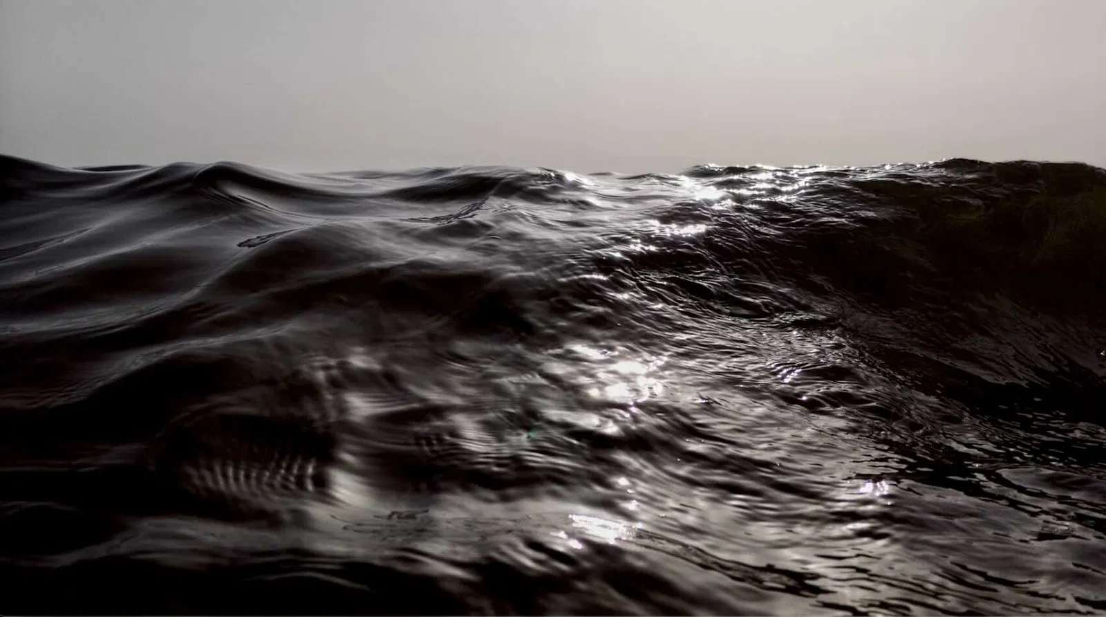Scientists Warn of Increasing Darkness in Earth's Oceans and Its Threat to Marine Life