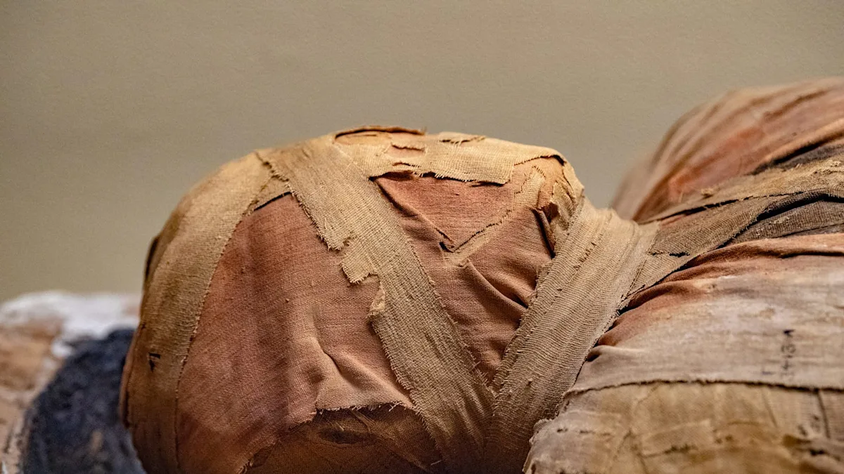 Featured image for Ancient Sarcophagus Unsealed Reveals Astonishing Mummy