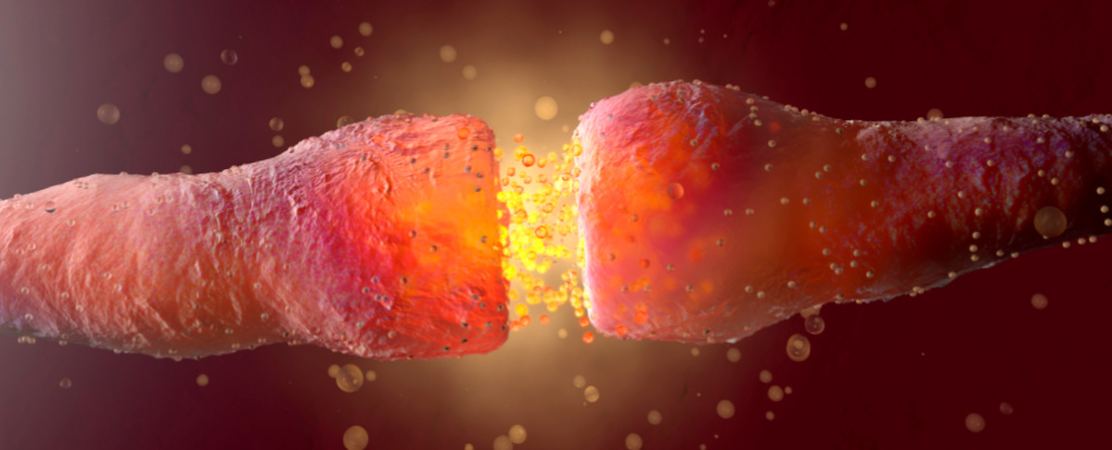Uncovering the Link Between Long COVID and Hormone Levels