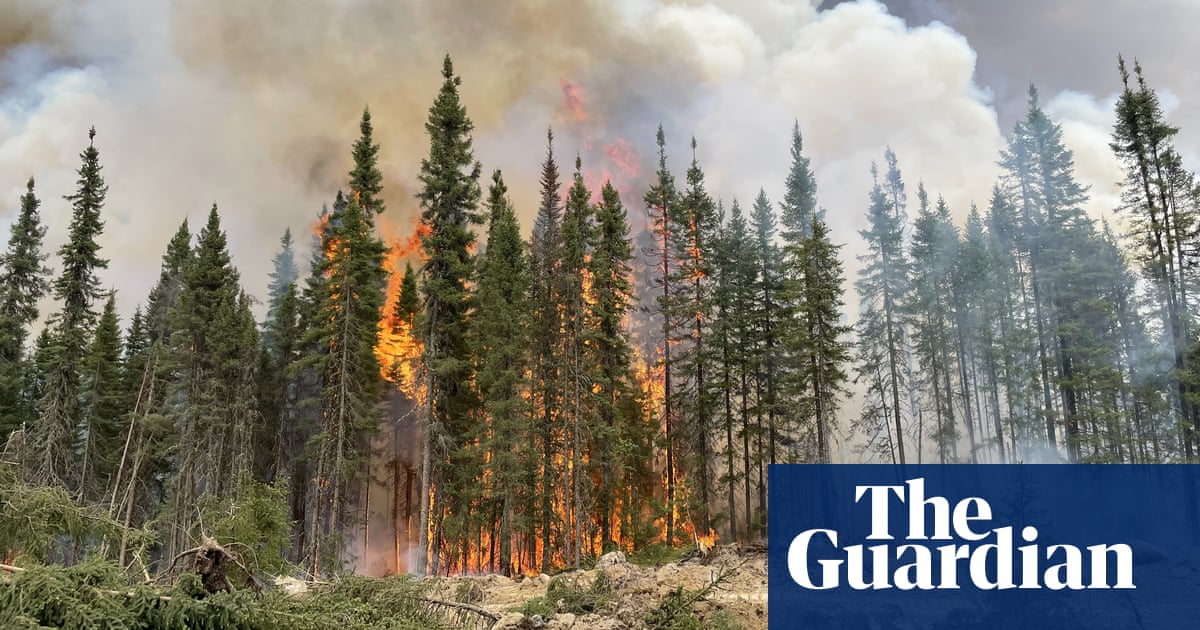 Climate Change Doubles Likelihood of Canada's Wildfires, Scientists Say