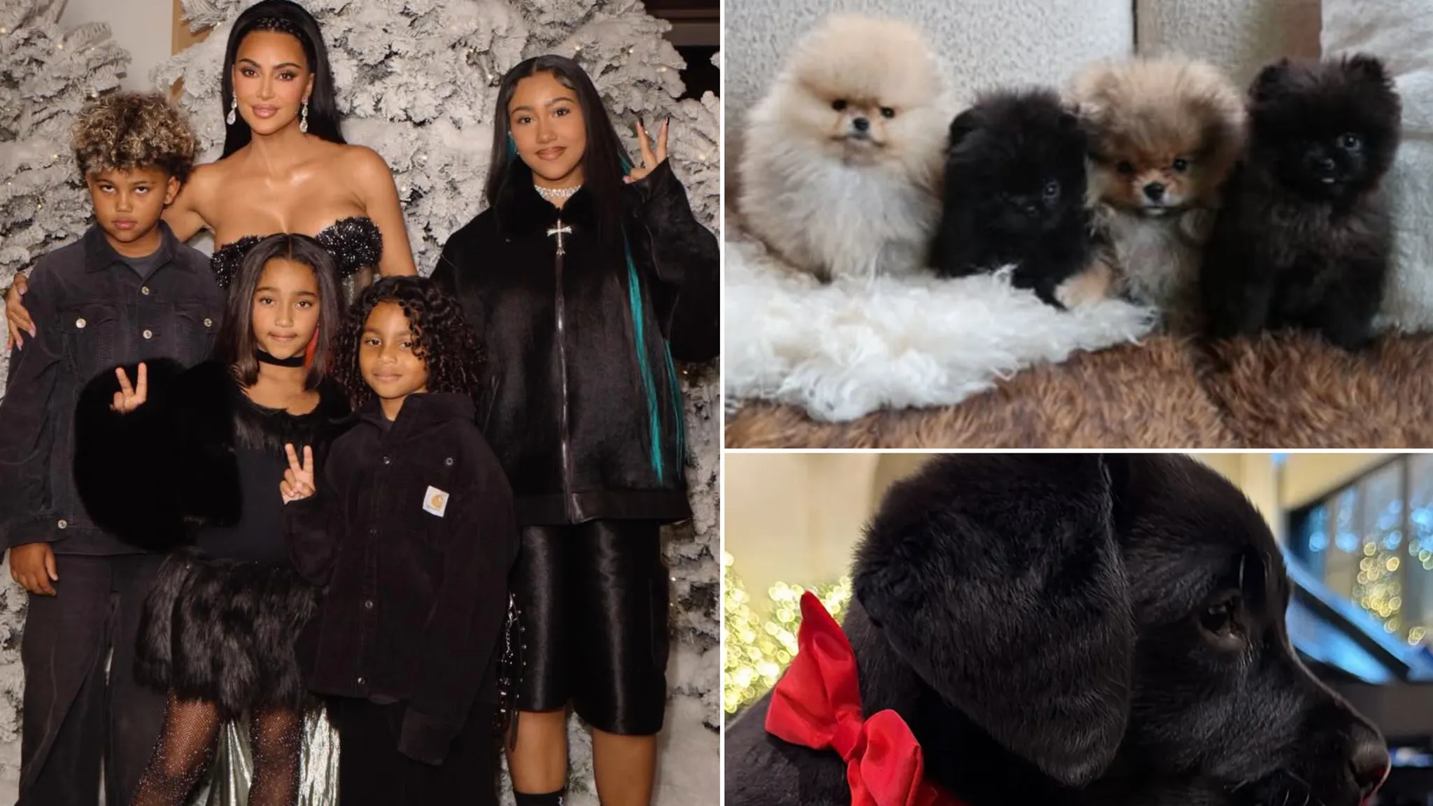 Featured image for Kim Kardashian Faces PETA Criticism Over Christmas Puppy Gifts