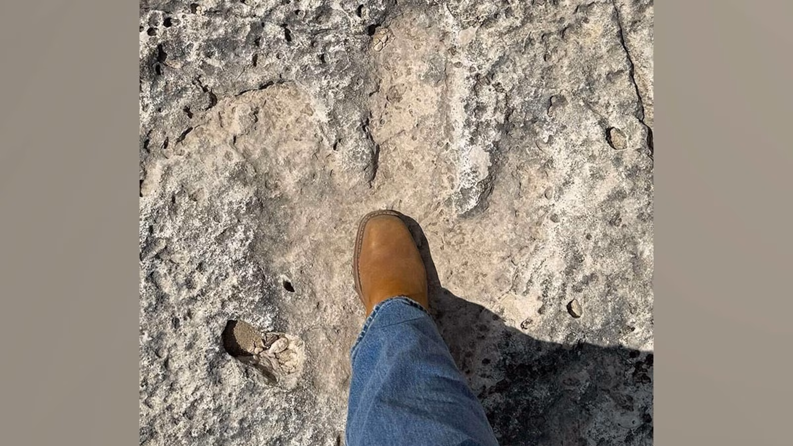 Featured image for Texas Floods Reveal 115-Million-Year-Old Dinosaur Footprints