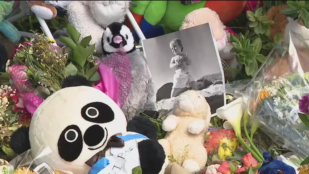 "Tragic San Francisco Bus Stop Crash Claims Entire Family, Driver Released from Custody"