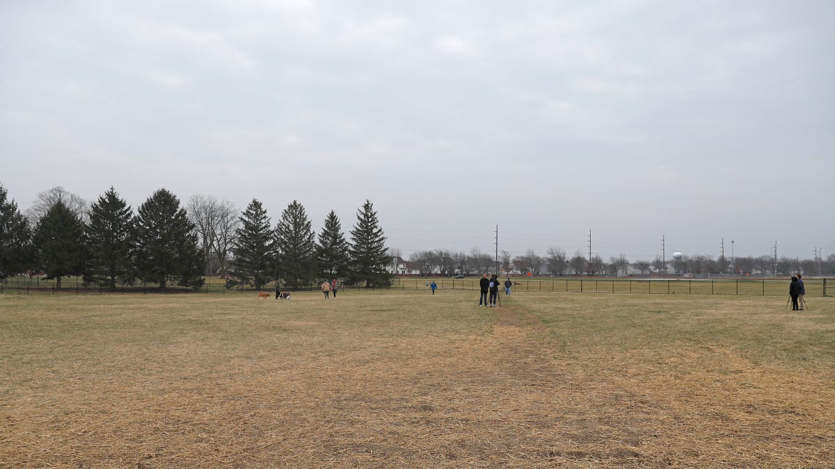 Featured image for "Dog Parks Temporarily Shut Down Due to Canine Disease Outbreak"