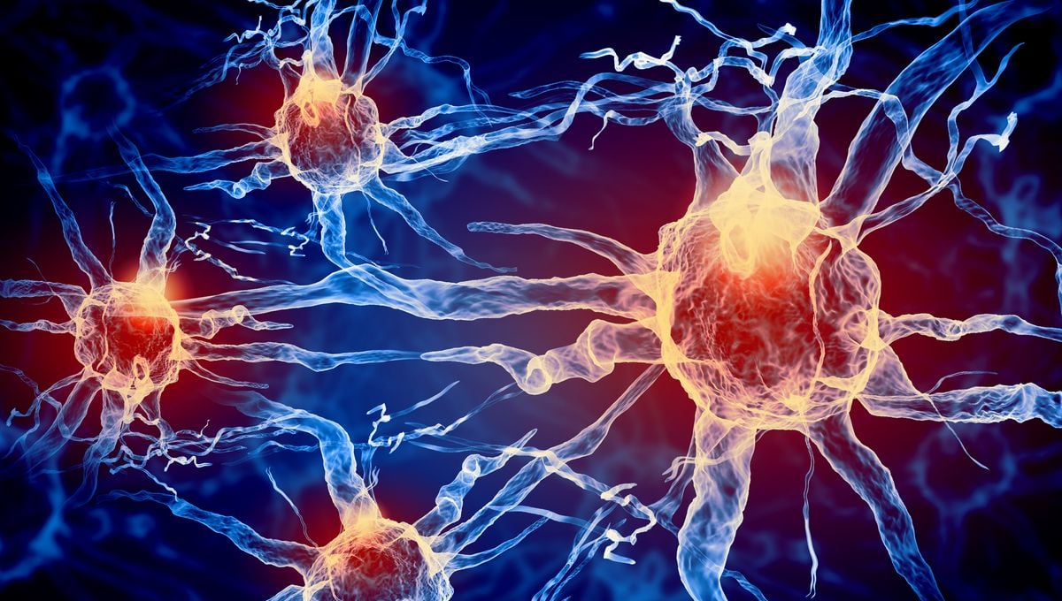 Featured image for Brainstem and Hidden Infections: Unraveling Long COVID and ME/CFS Causes