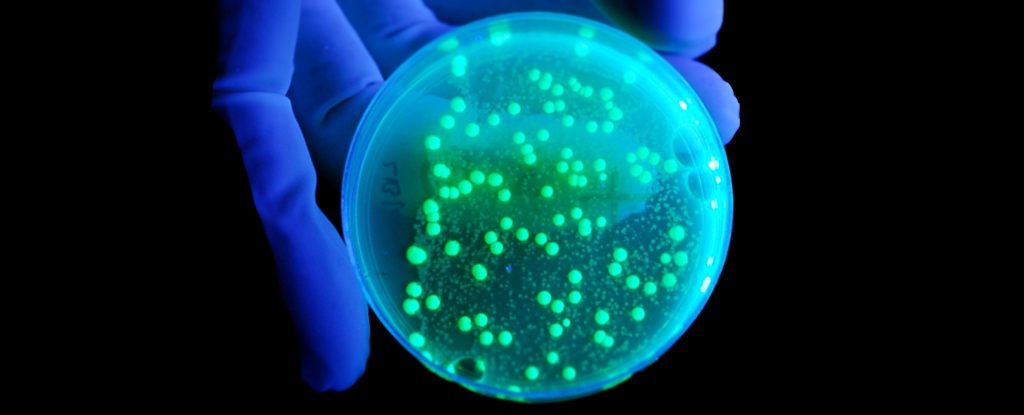 Featured image for "Disease X: The Looming Threat and Global Pandemic Preparations"