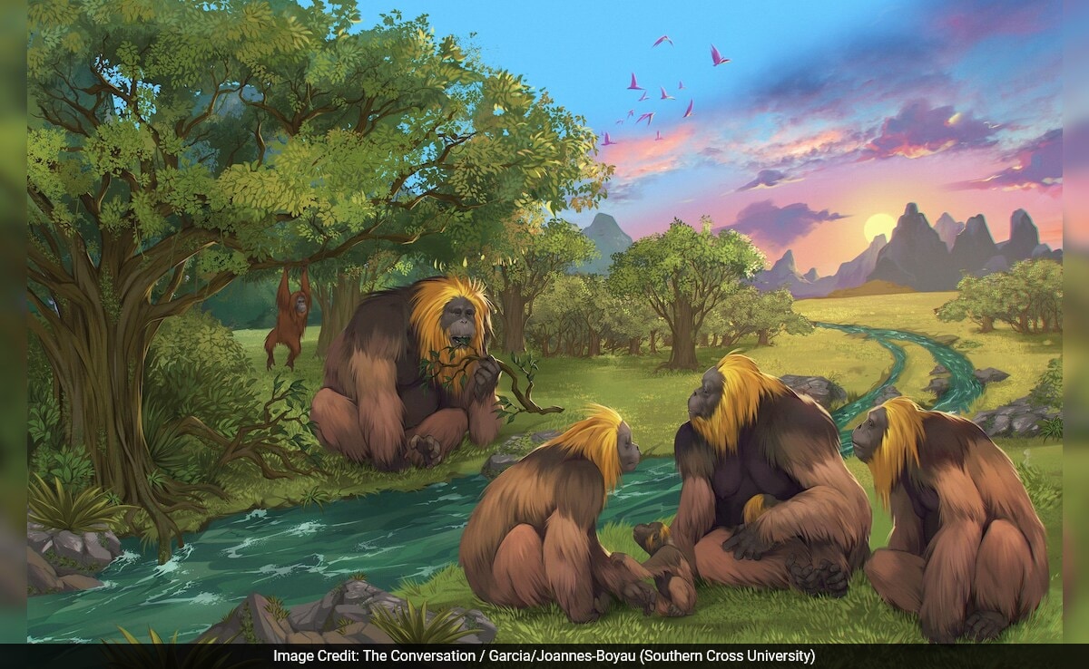 Featured image for "The Extinction of the Giant Ape: Unraveling the Mystery"