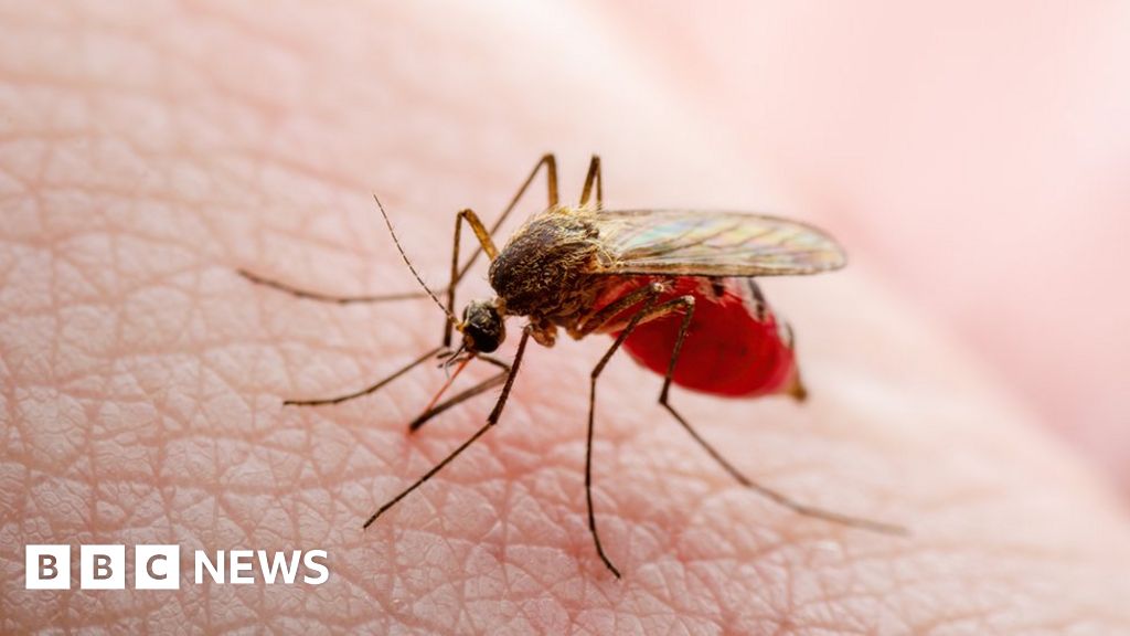 "Promising breakthrough: Bacteria found to suppress malaria transmission in mosquitoes"