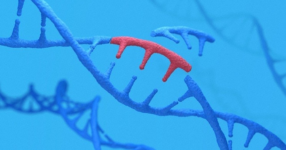 Featured image for "Genetic Factor Found for Cold Hypersensitivity in Japanese Women"