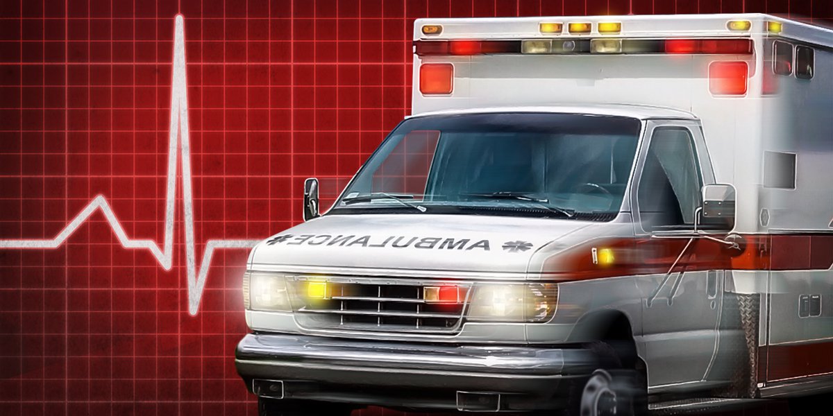 Featured image for Kansas State Fair: Pedestrian Safety, Petting Zoos, Rides, Security, and Rainy Excitement