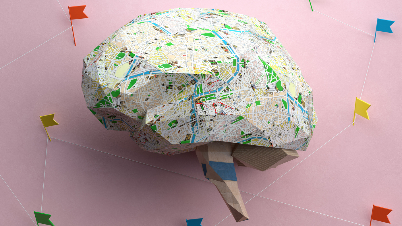 Unveiling the Human Brain: A Comprehensive Atlas of Over 3,000 Cells Sheds Light on Neuropsychiatric Disorders