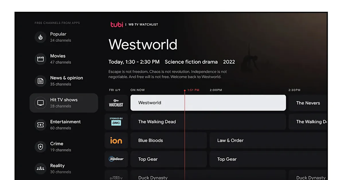 Google TV offers 800+ free channels in new experience.