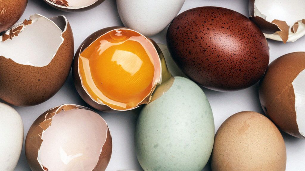 Featured image for Consuming eggs and certain foods may significantly reduce Alzheimer's risk