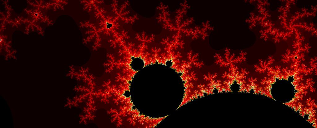 Featured image for Unraveling the Brain's Cellular Blueprint for Behavior and Planning