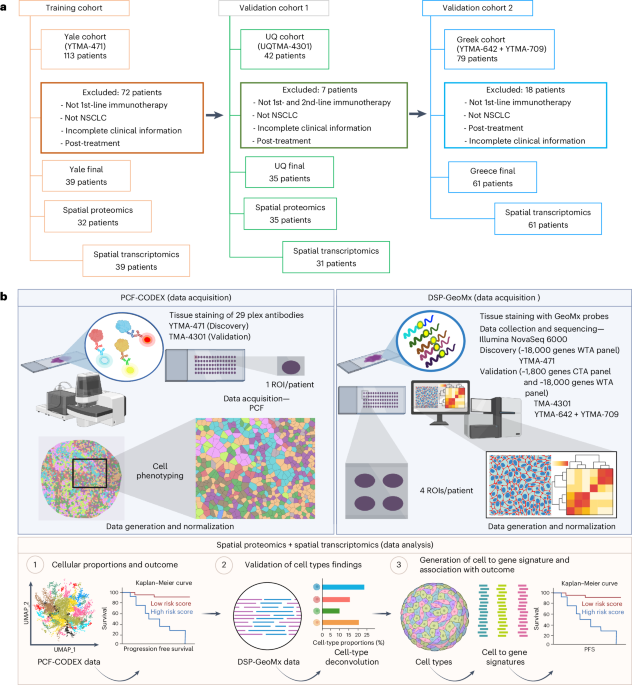 Featured image for Innovative Multi-Omics and Mapping Techniques Enhance Lung Cancer Treatment Predictions