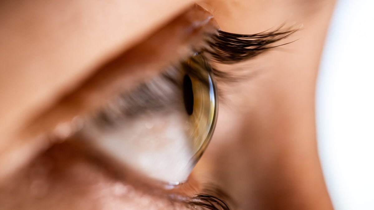 Featured image for Scientists Discover Laser-Free Eye Correction Using Electrical Currents