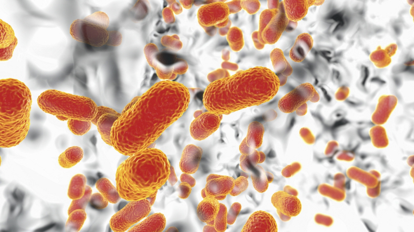 "COVID Pandemic Fuels Rise of Superbugs"