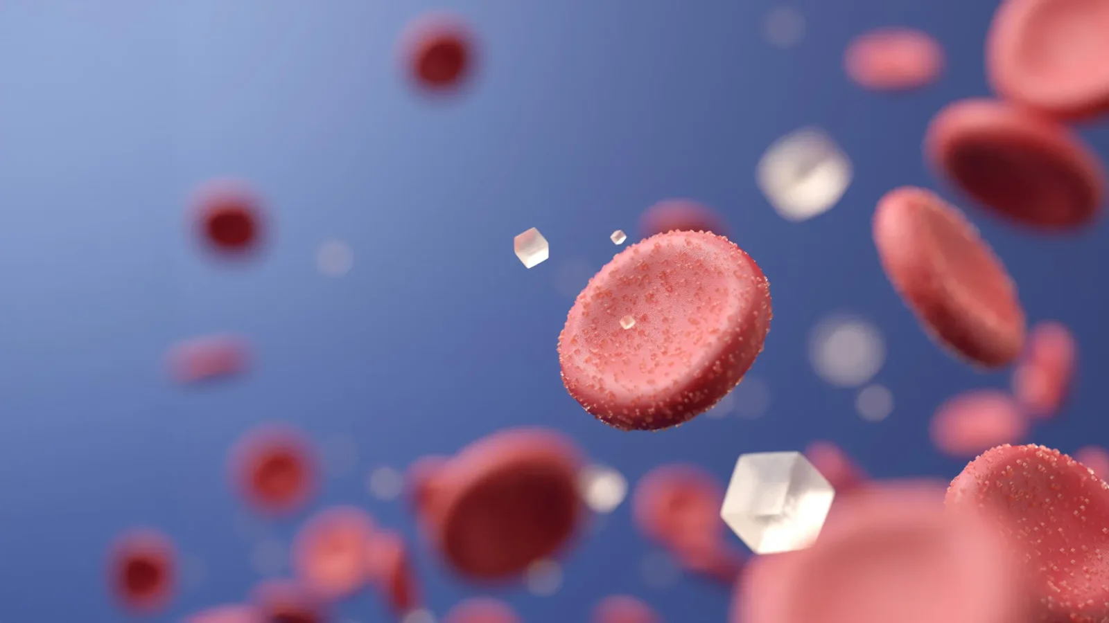 Featured image for Potential Breakthrough in Diabetes Treatment from Rare Desert Berry